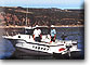 Cedar Springs Marina