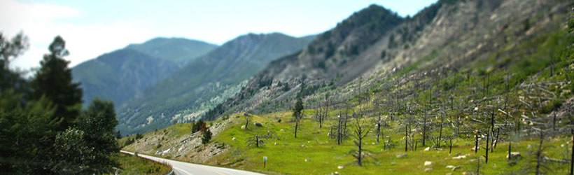 Road Trip