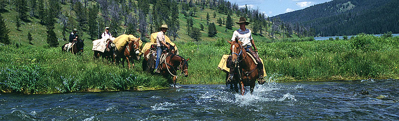 Cowboy Country