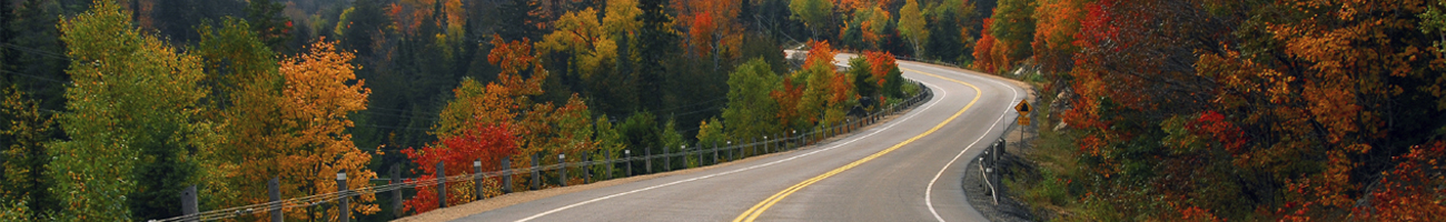 This is a generic image, it is NOT an image of Sheep Creek/Spirit Lake Loop go-wyoming.com Travel Info
