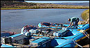 River Runners Transport