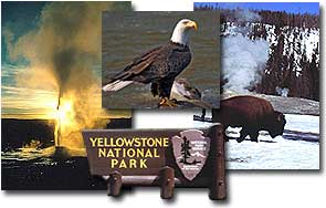 Buffalo Bill's Yellowstone Country Tourism Photos and Images