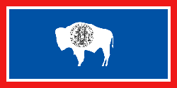 State Flag