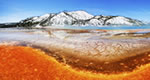 Yellowstone NP