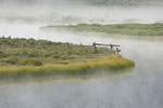 Green River Mist