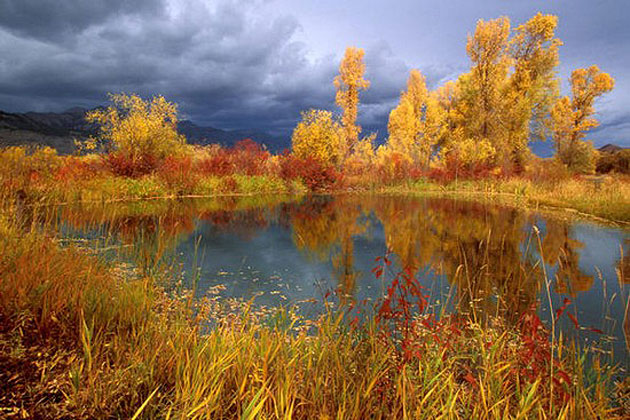 Peggy’s Pond