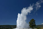 Old Faithful