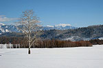 Snowy Peaks