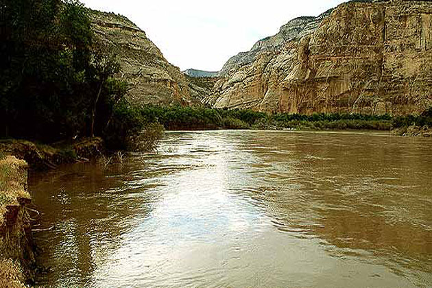 dinosaur green and yampa river