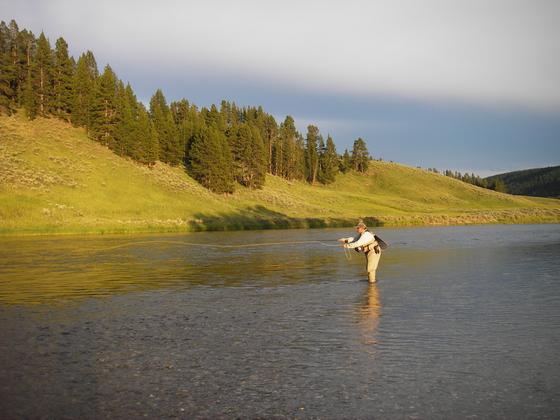 Fly fishing the Yellowstone River at Buffalo Ford